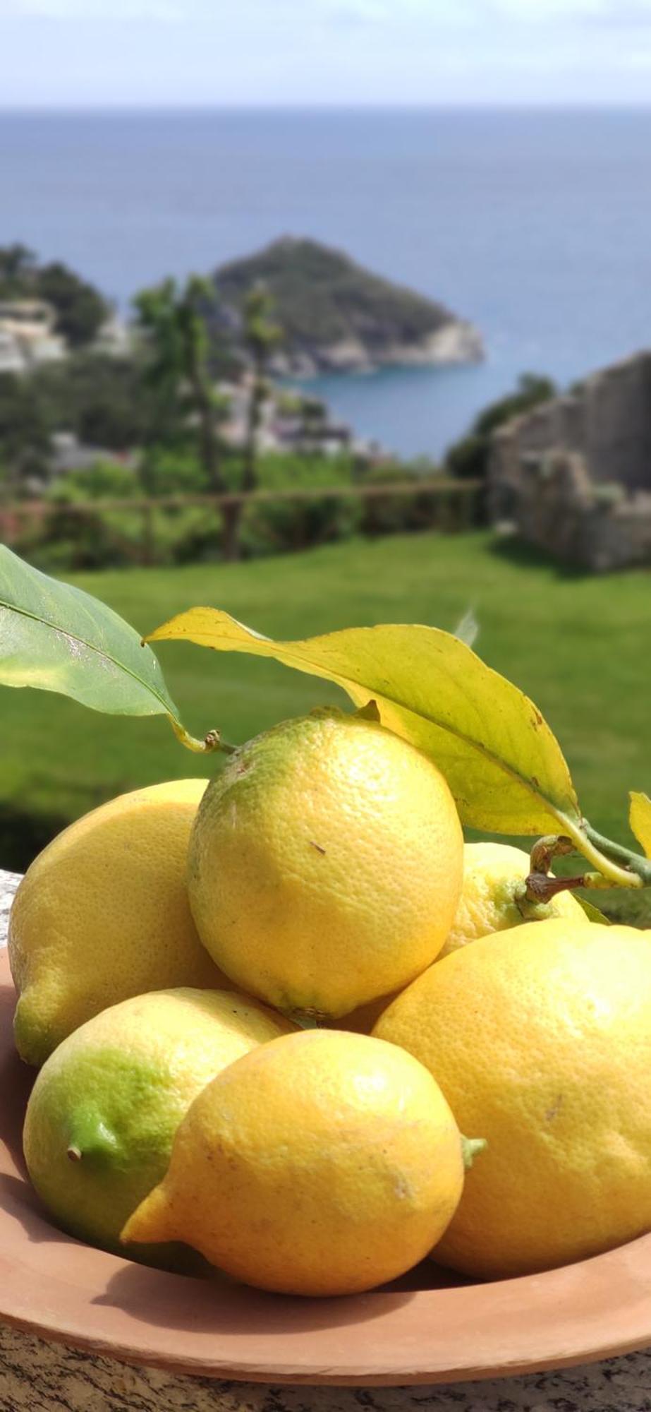 Il Giardino Sull'Isola - Appartamento - Bergeggi Esterno foto