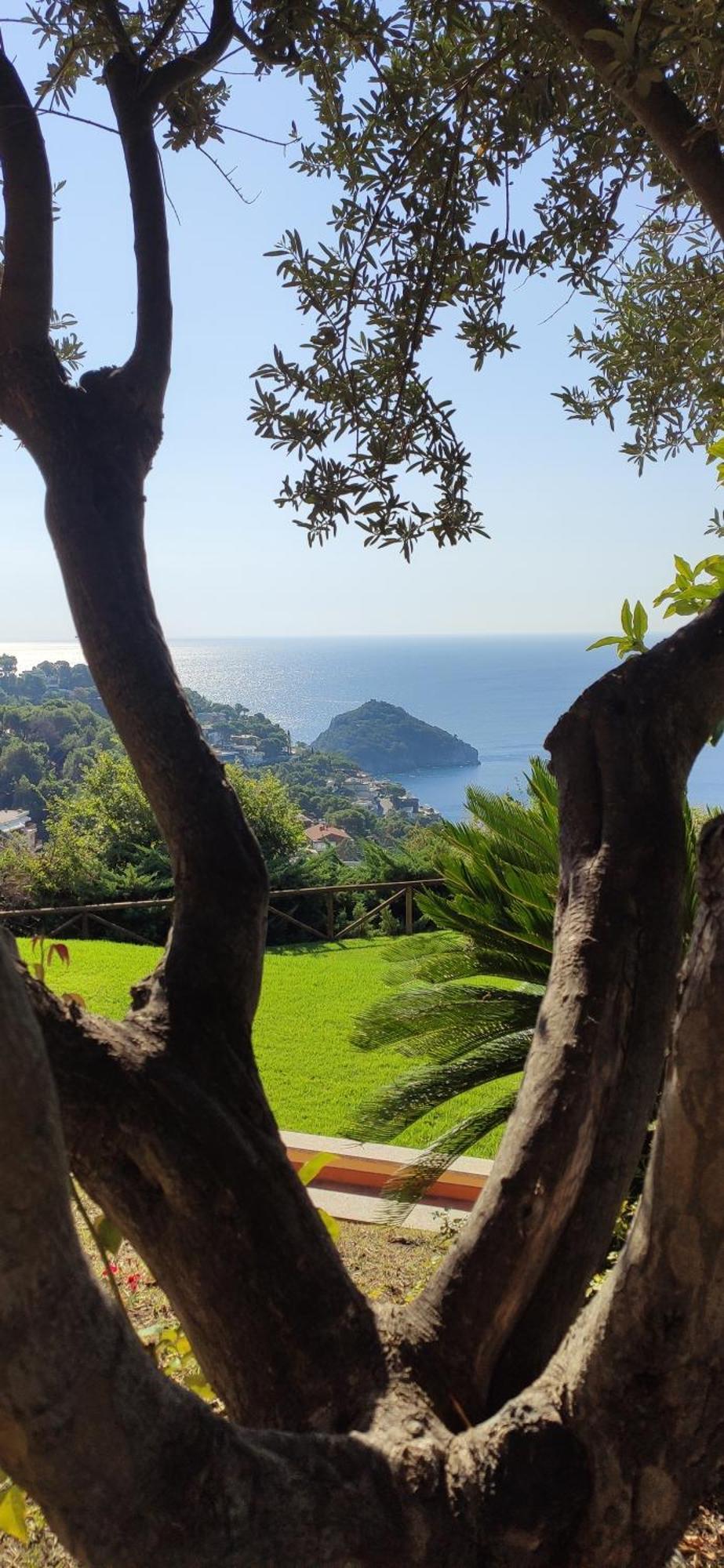 Il Giardino Sull'Isola - Appartamento - Bergeggi Esterno foto
