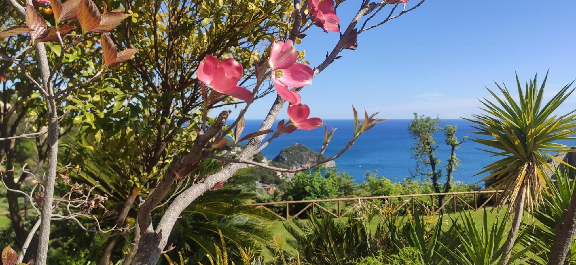 Il Giardino Sull'Isola - Appartamento - Bergeggi Esterno foto